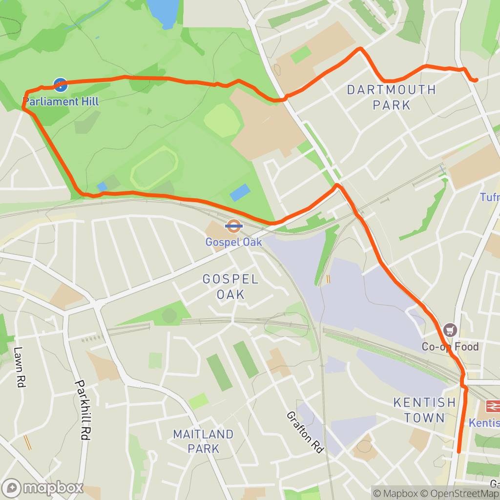 Evening Run